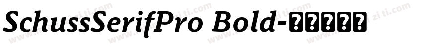 SchussSerifPro Bold字体转换